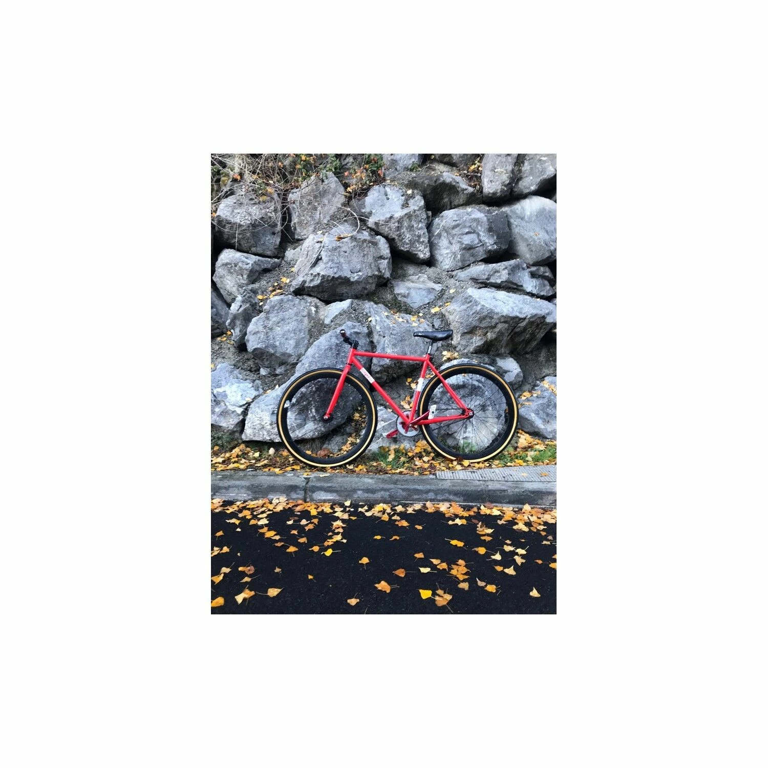 Fixie-inc Vélo Fixie Et Singlespeed Fixie Inc. – Image 3