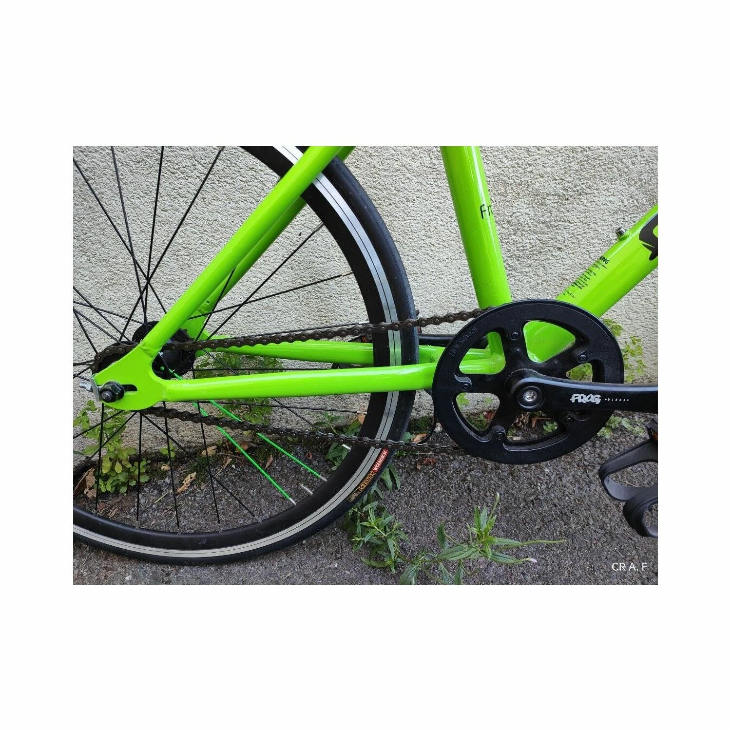Vélo Enfants Frog Bikes - 24" – Image 4