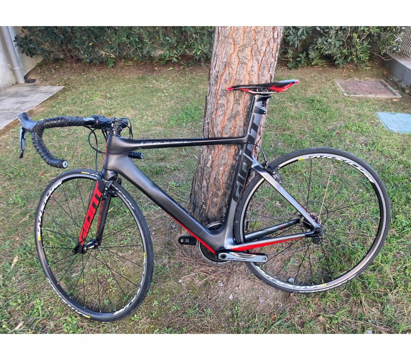 Vélo De Course Giant - 52 - 700c – Image 3