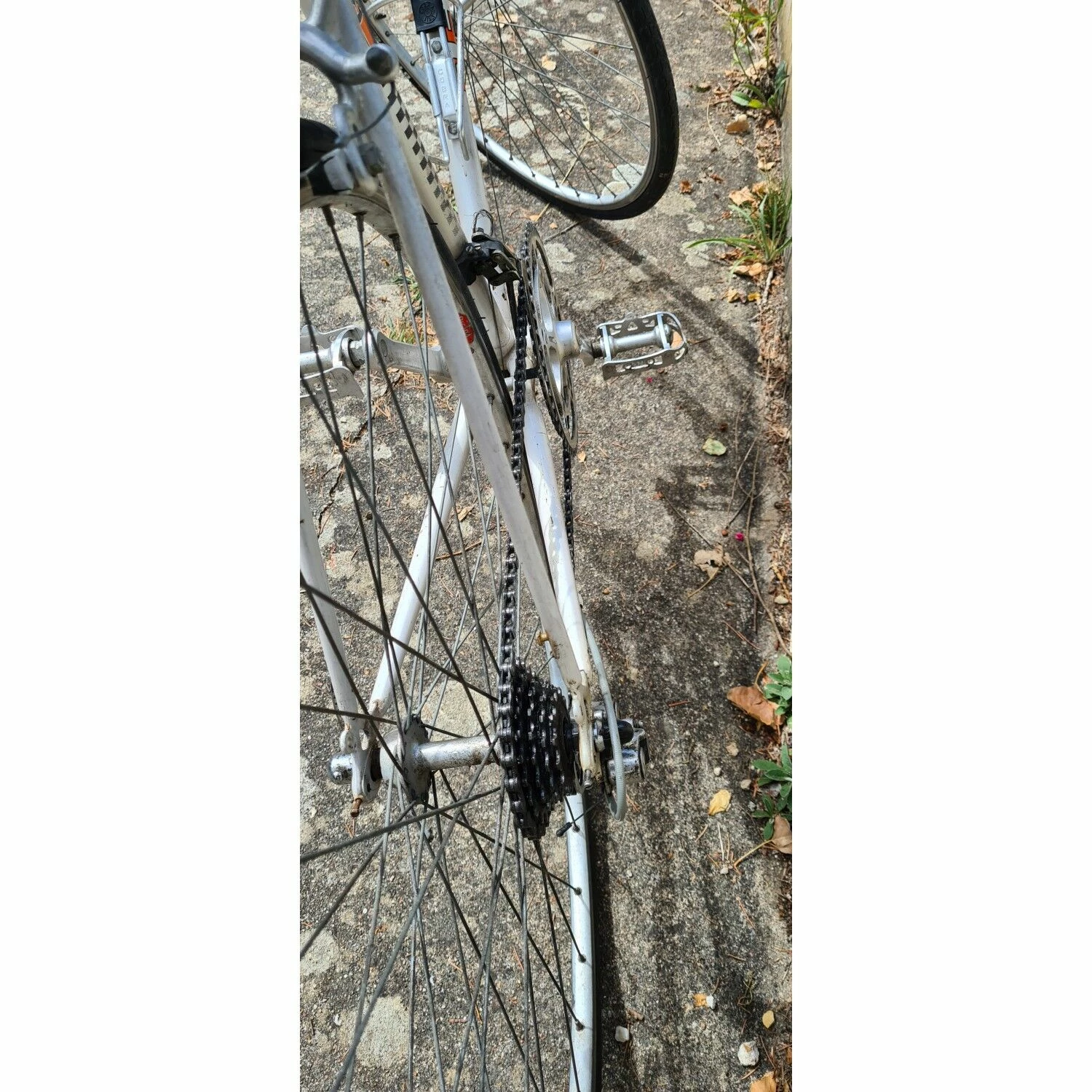 Vélo Urbain Peugeot – Image 2